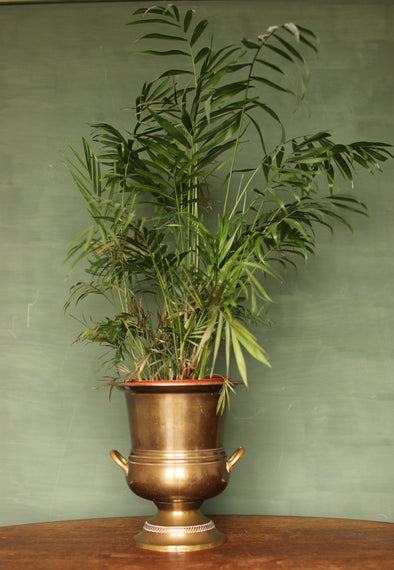 Large Brass Pot / Ice Bucket.  Lovely age to the brass gives it an almost bronze patina.   H275mm x Max Diameter 241mm  Perfect condition.